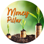 money pillar, 8 pillar assessment, beawaken,